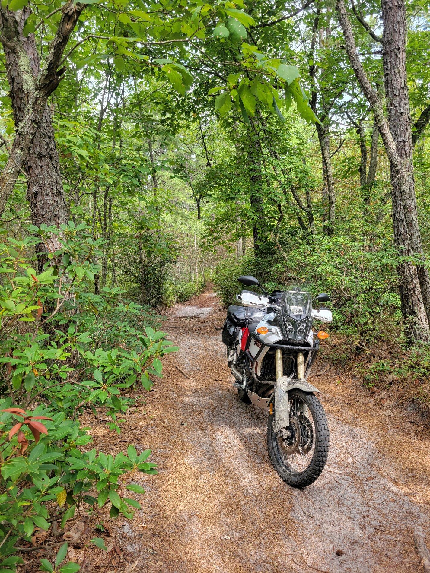 Ford Maverick Motorcycle riders, let’s see your ride. 20210908_110552-01