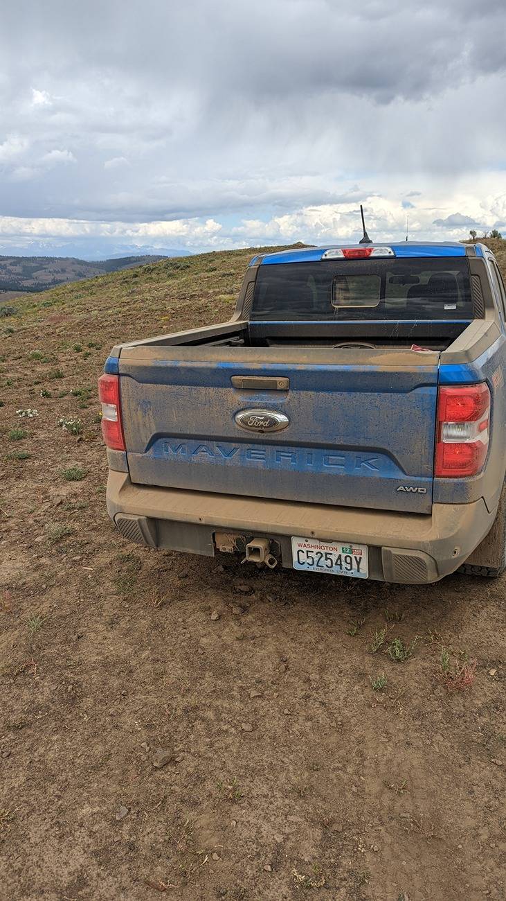 Ford Maverick Show us your dirty Mav pictures PXL_20220704_210414243