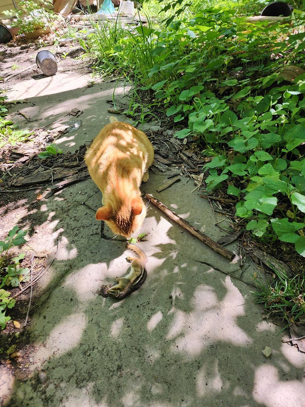 20240525_101101.jpg