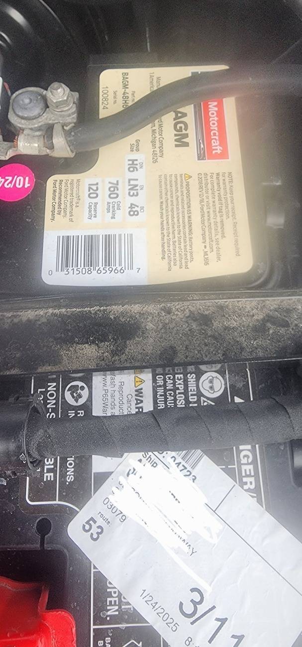 20250210_101301.jpg