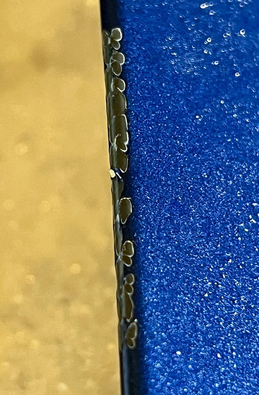 Ford Maverick Maverick's first paint scratch: From its wiper blades scratch_detail