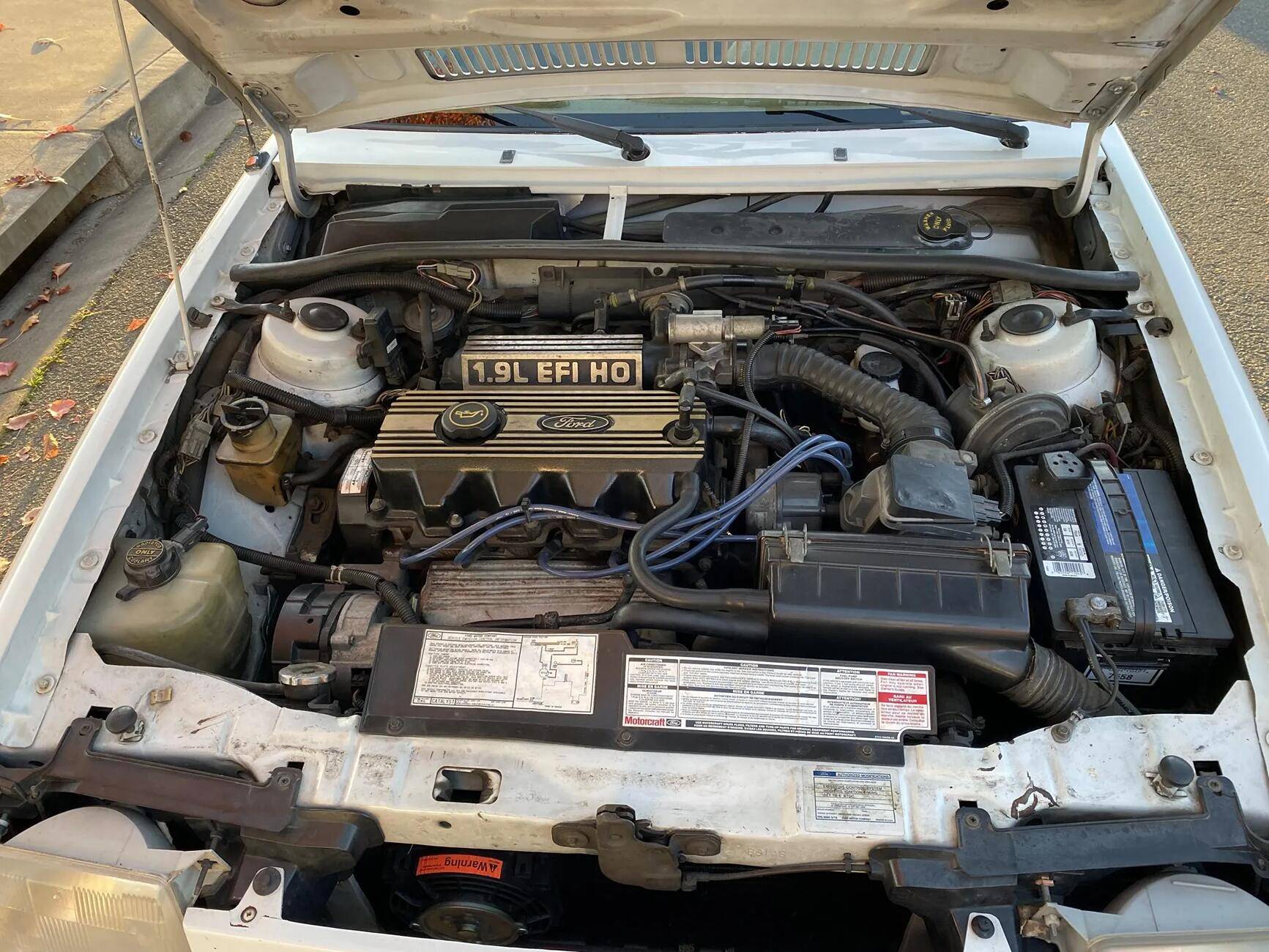 Ford Maverick For the Kids 1739555860204-tz