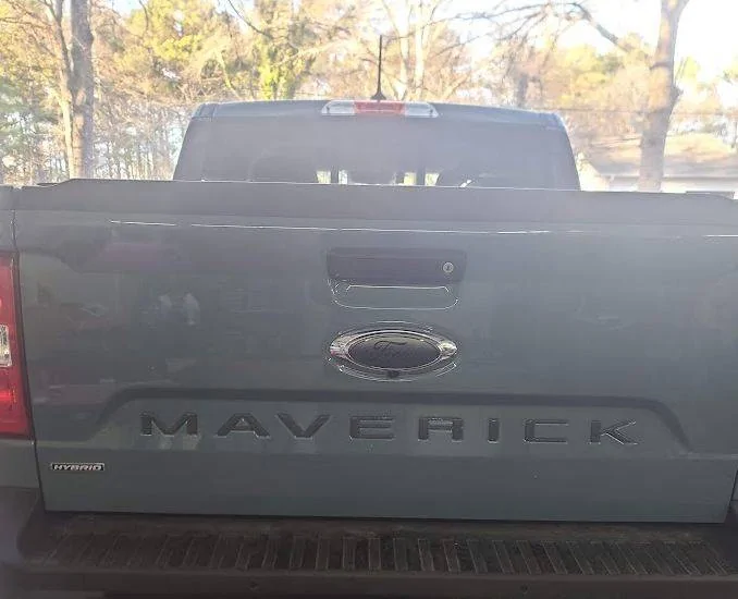 Ford Maverick New Logo Bone-Head Award RjJ5jV2