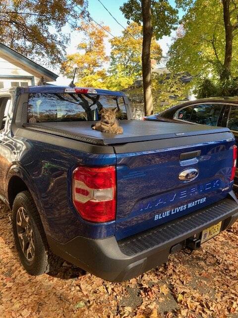 Ford Maverick Soft Tonneau cover suggestions? mittens on bed cover.JPG