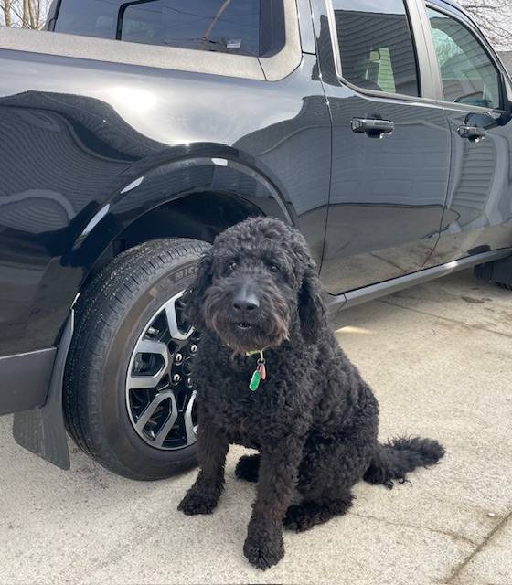 Ford Maverick Mabett | Giveaway: Maverick and Pets, Let’s Hit the Road! 🐾 Maverick022