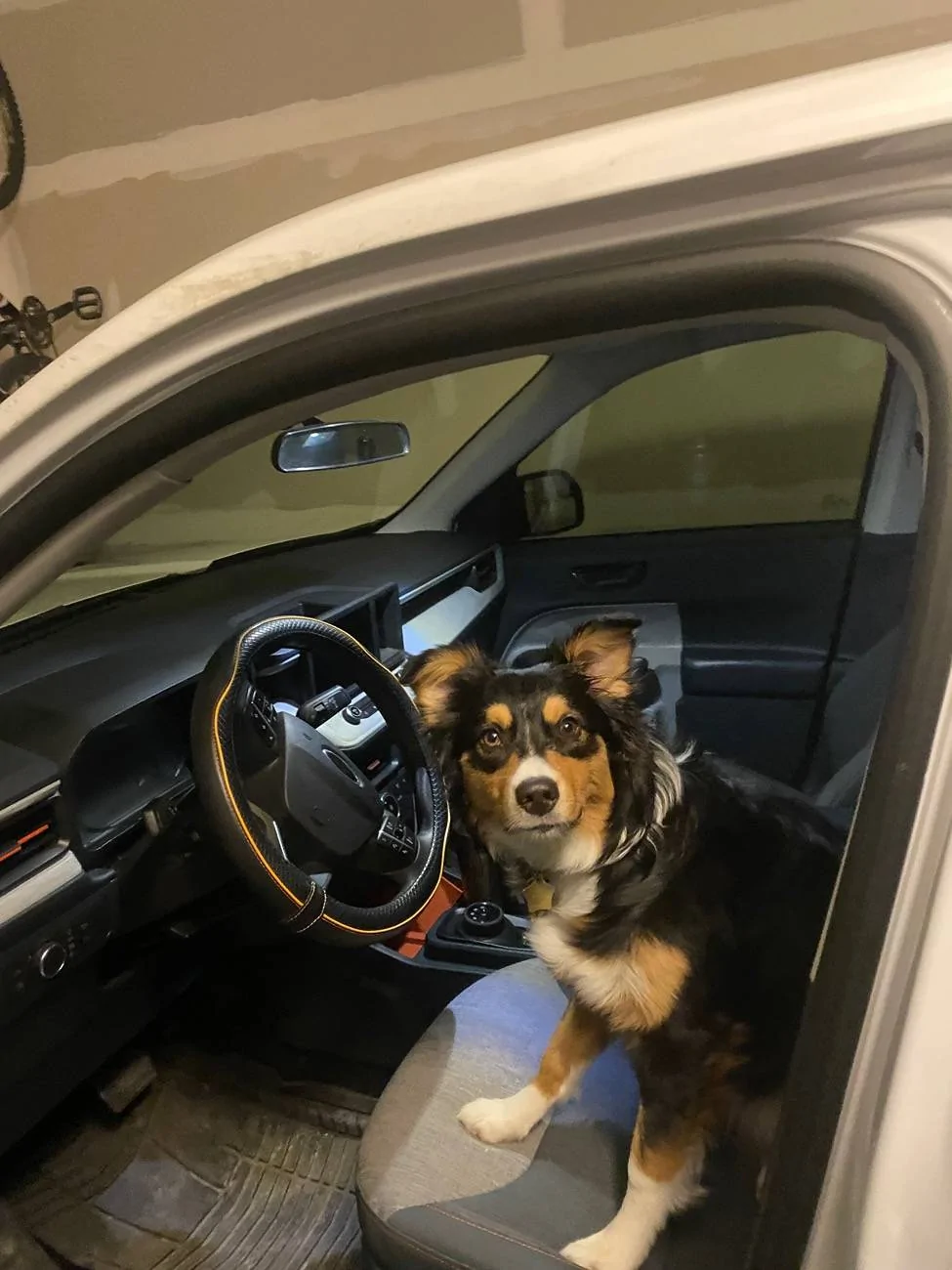 Ford Maverick Mabett | Giveaway: Maverick and Pets, Let’s Hit the Road! 🐾 IMG_2723