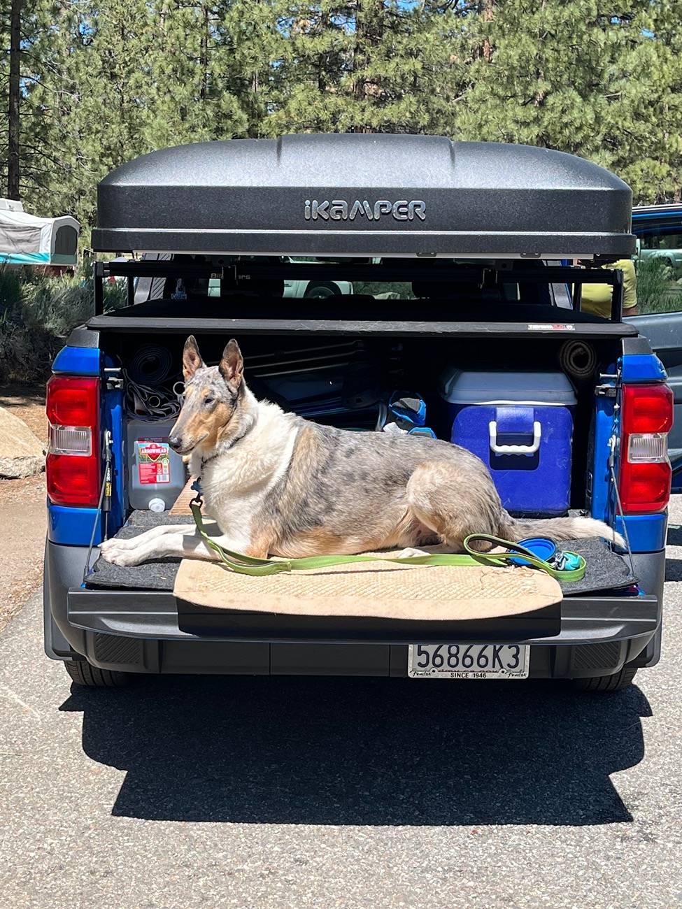 Ford Maverick Mabett | Giveaway: Maverick and Pets, Let’s Hit the Road! 🐾 IMG_8323