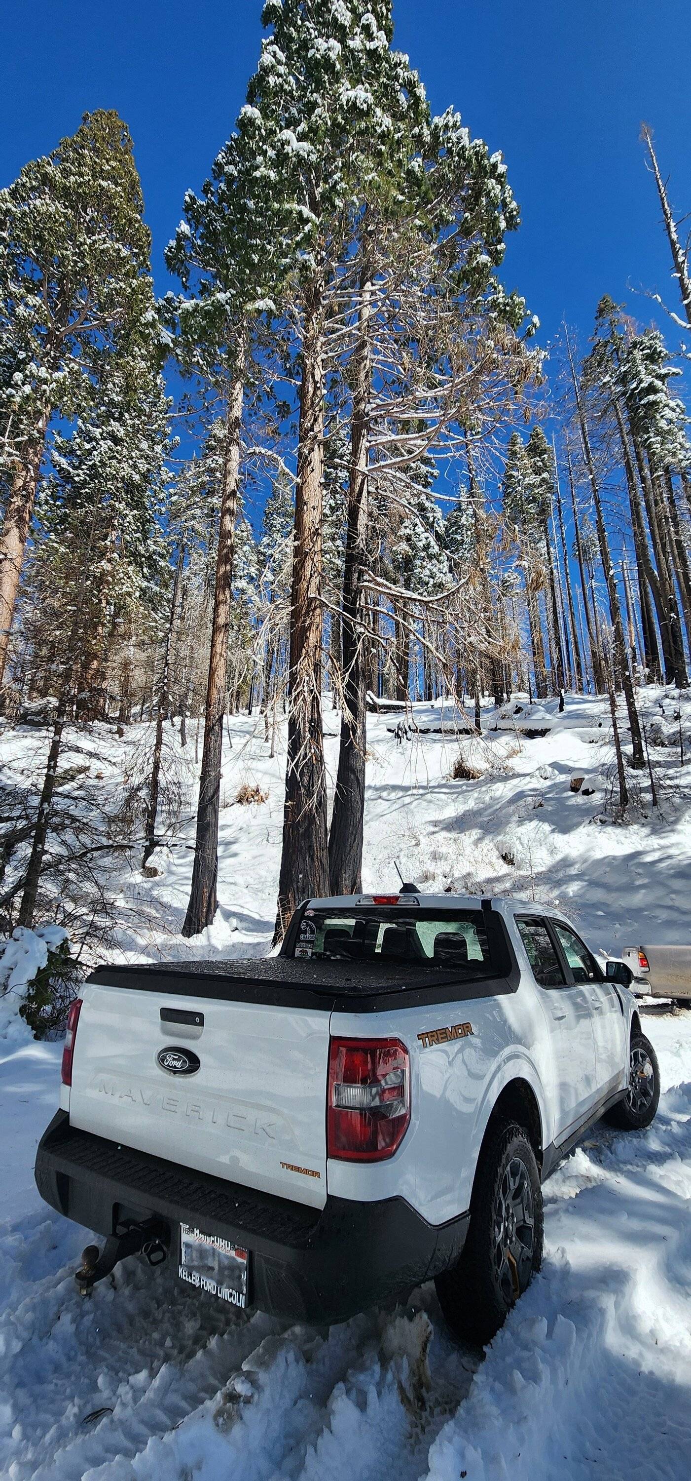 Ford Maverick First time off-roading in Sierra National Forest OHV Snow w/ Maverick Tremor 20250308_114848~2