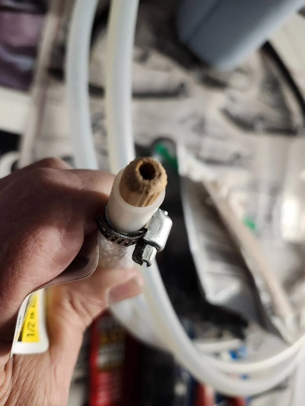 Ford Maverick Top End cleaner to prevent carbon buildup on valve stems. 20250410_193051