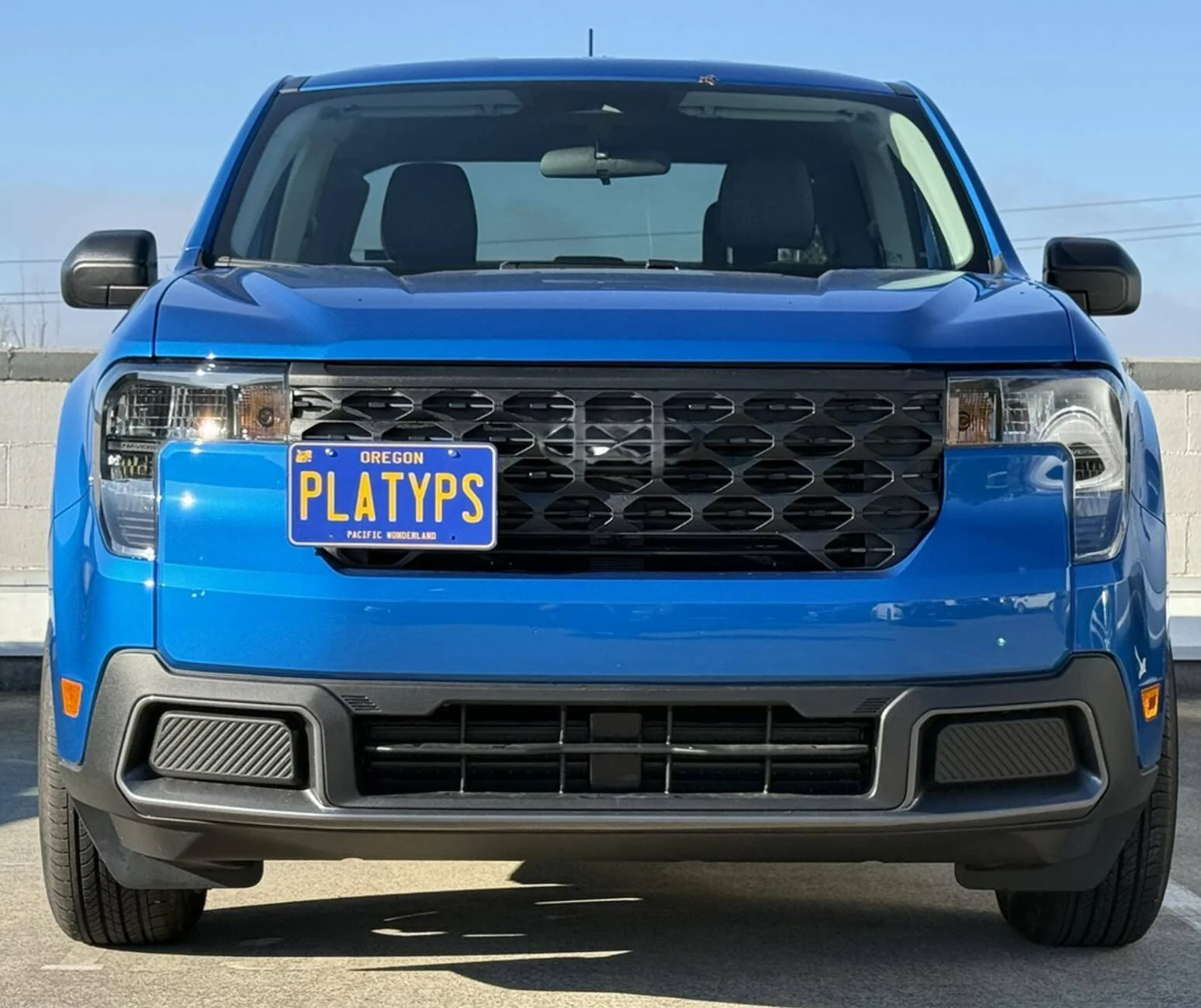Screenshot 2025-04-19 at 12-46-20 The Platypus License Plate Mount.jpg