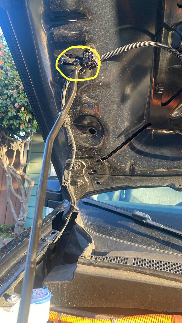 Ford Maverick Best Maverick Tricks, Tips, and Hacks - Add Yours! IMG_3248