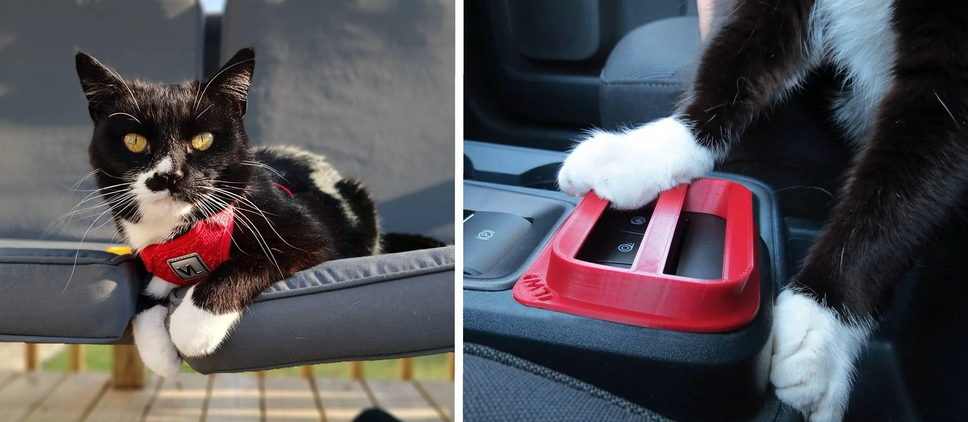Ford Maverick Paw Protector for Drive Mode Buttons on Console cons_btn_test