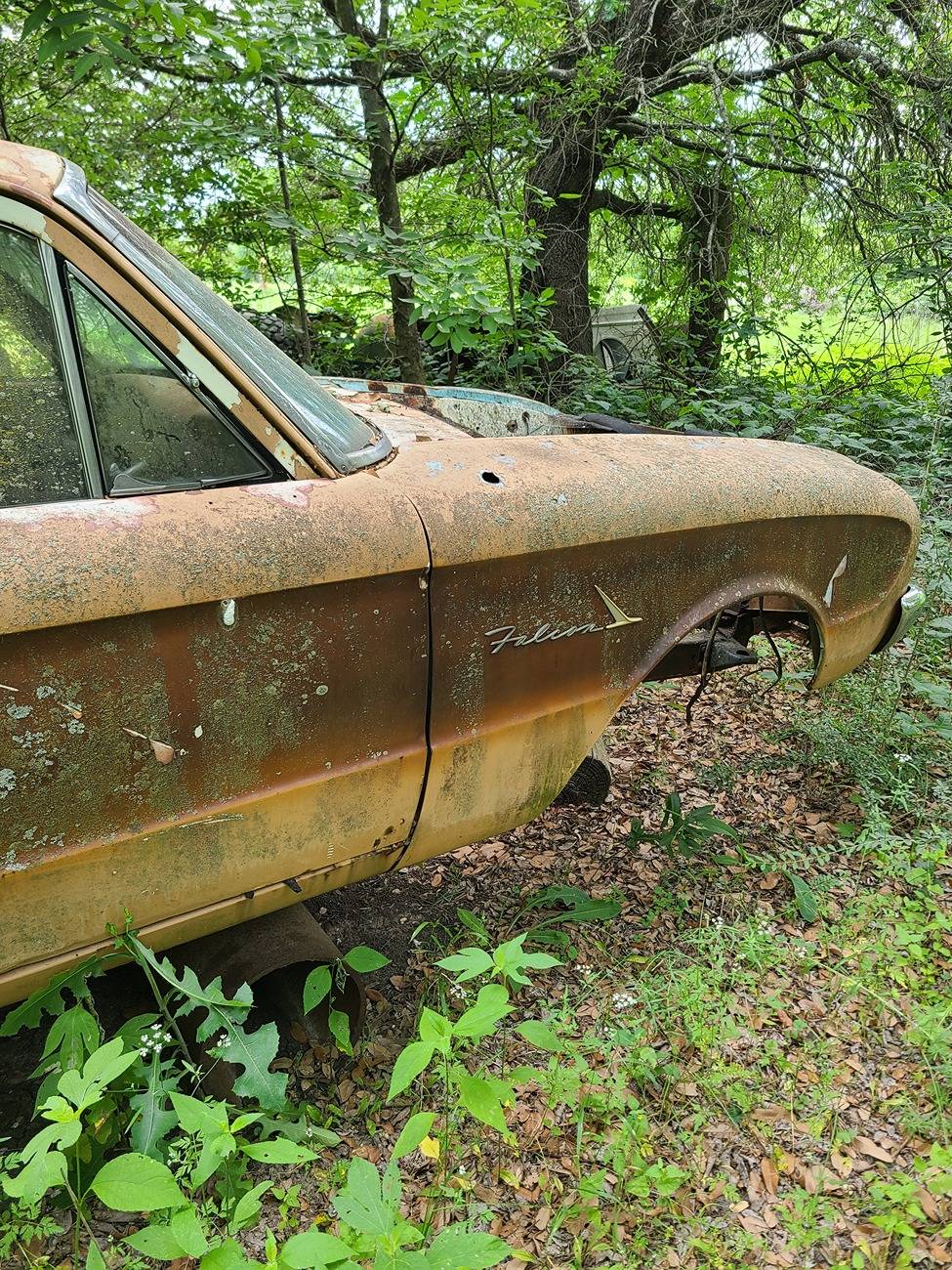 Ford Maverick Ranchero in the wild Falcon_front