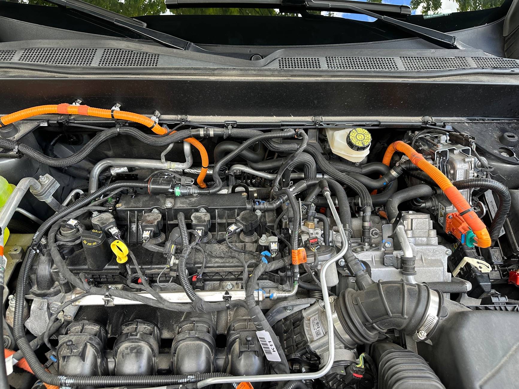 Ford Maverick F150 Headlight Switch and Diode Dynamics Fog Light Install IMG_1696