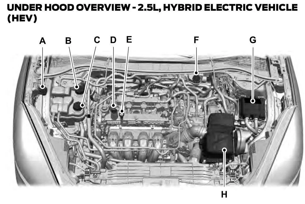 Ford Maverick 2022 Maverick Hybrid owner new member Screenshot 2025-05-27 at 4.11.43 PM