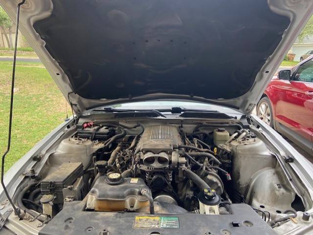 Ford Maverick Cleaning engine compartment must1