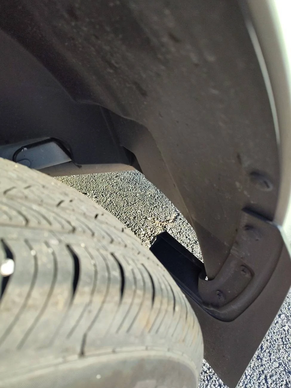 Ford Maverick 2025 Rear wheel gap is gone? IMG_20241101_170629540