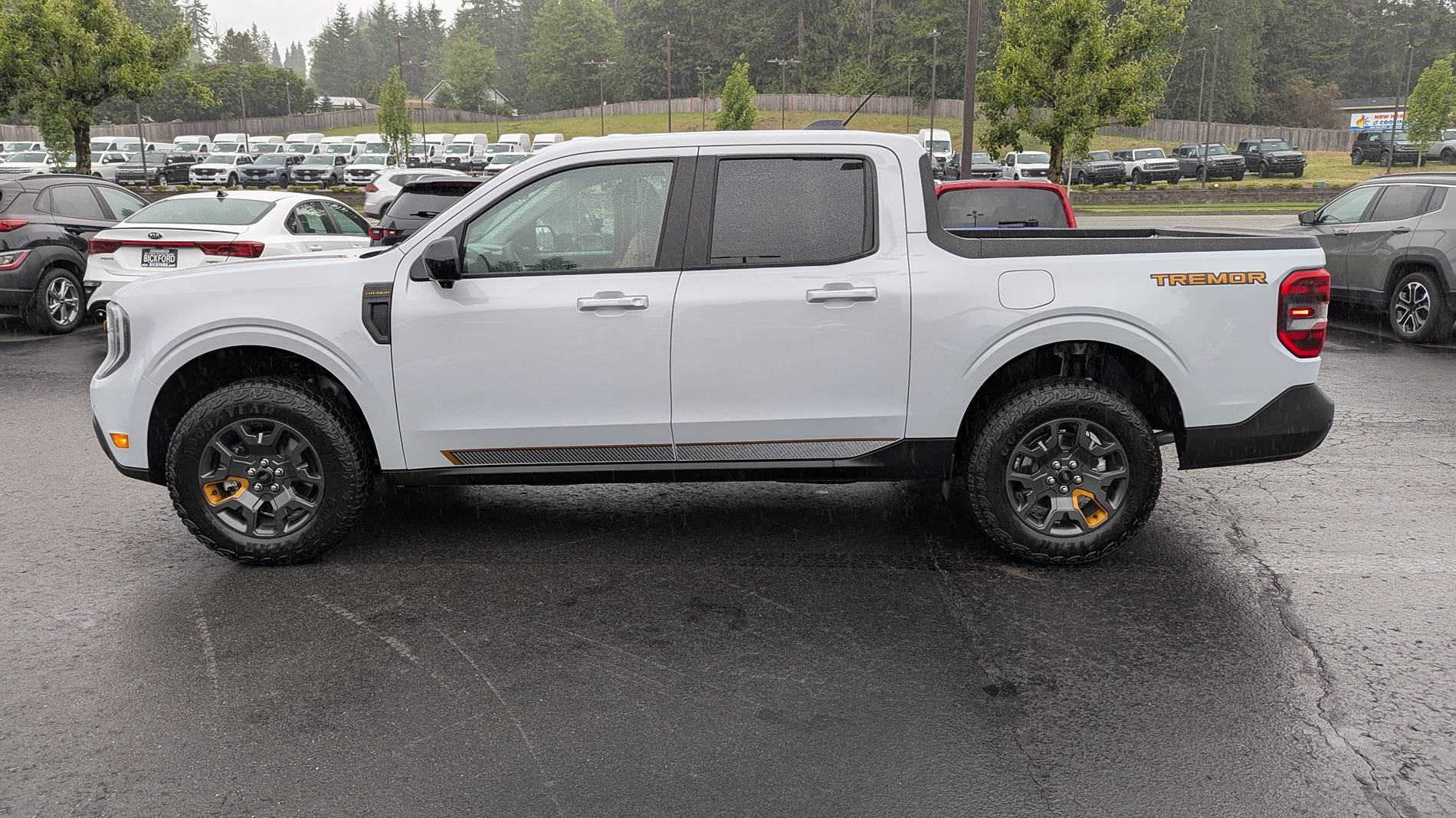 Ford Maverick New Here - Plus New Owner 1000012417