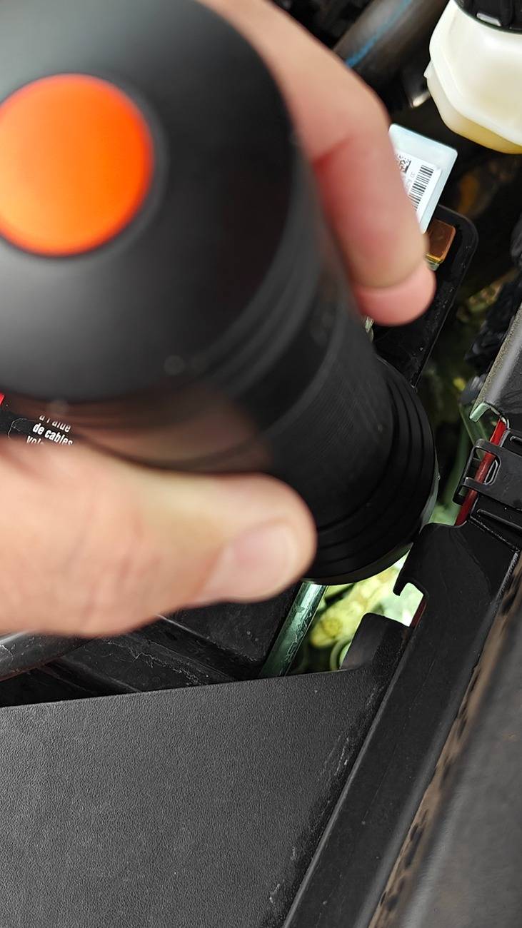 Ford Maverick '#@$! Snakes in a Maverick!' - Sonoran Gopher Snake in Engine Bay 1000076362