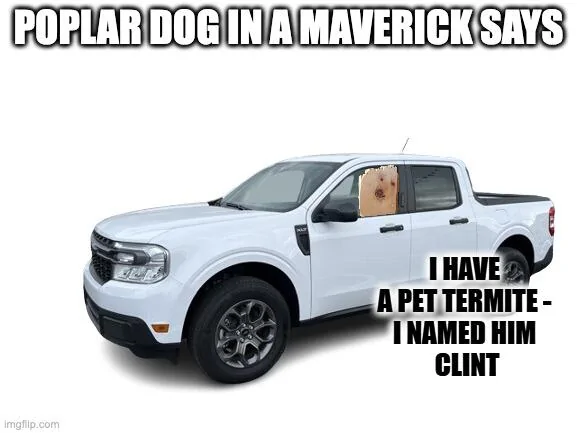 Ford Maverick Maverick Memes -  fun diversion while we wait [ ** NO POLITICS ** ] download - 2025-06-05T064434.459