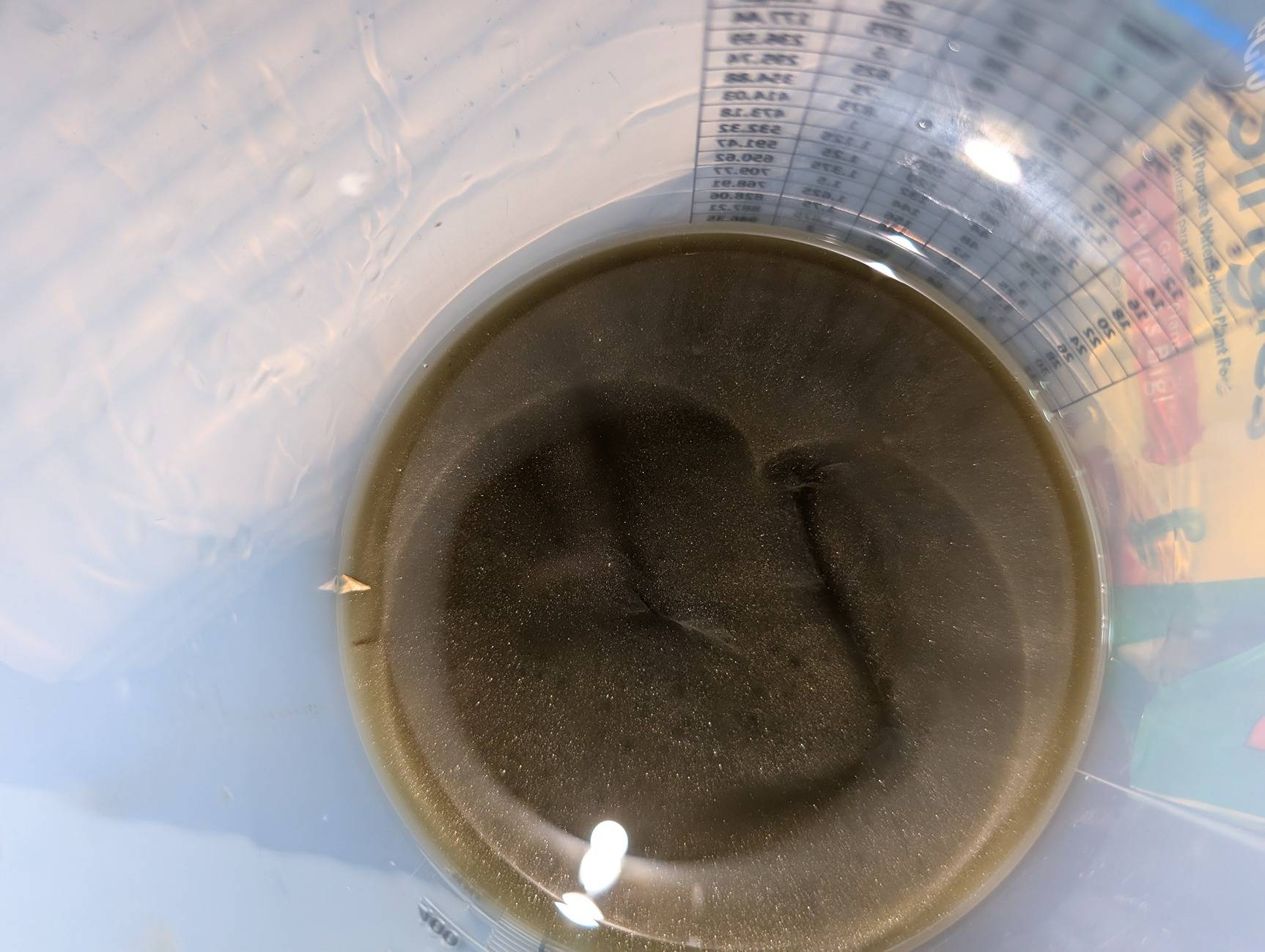 Ford Maverick My 2025 ecoboost PTU might be underfilled - 11k update 1000003799