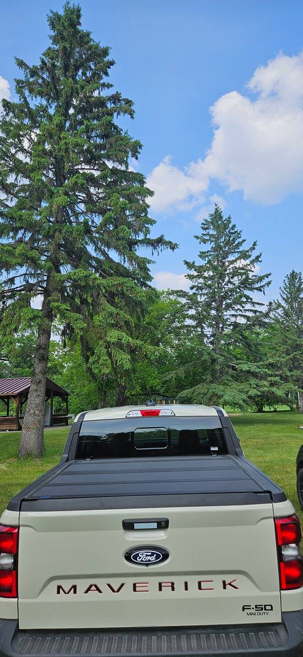 Ford Maverick First Post: I made a custom sticker 20250613_163256