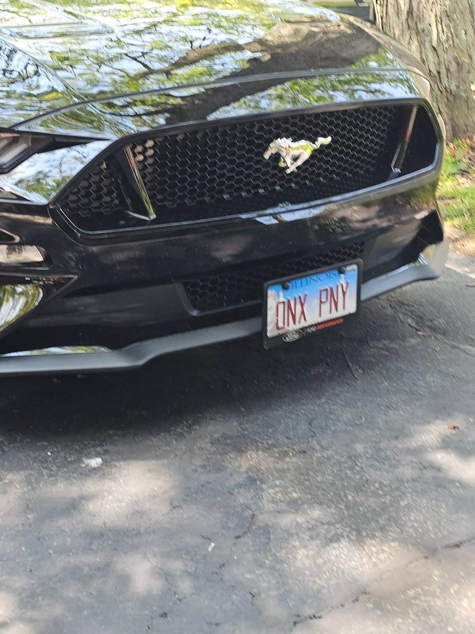 Ford Maverick Front License Plate Bracket 20250609_113119