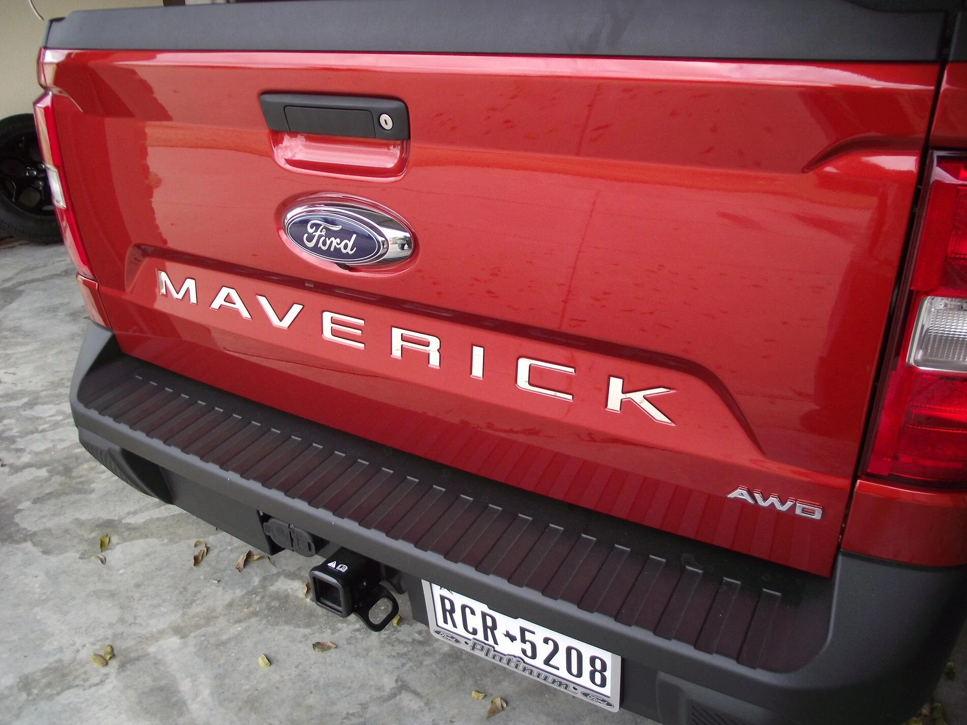 dscf2951-jpg.jpg