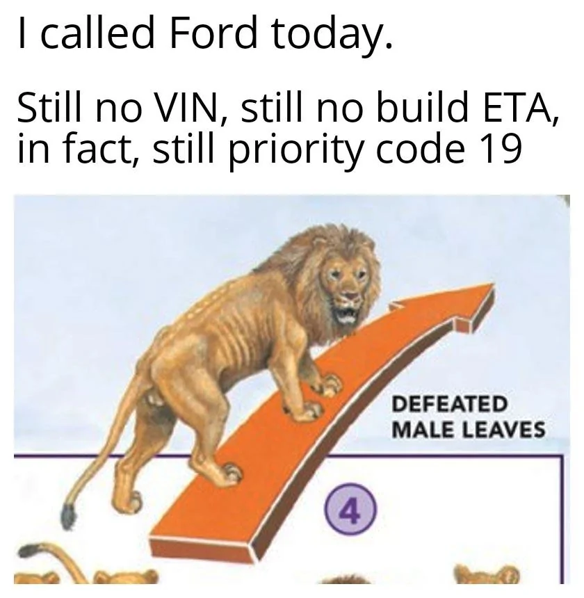 Ford Maverick Maverick Memes -  fun diversion while we wait [ ** NO POLITICS ** ] Defeated Male Leaves 07122021202115