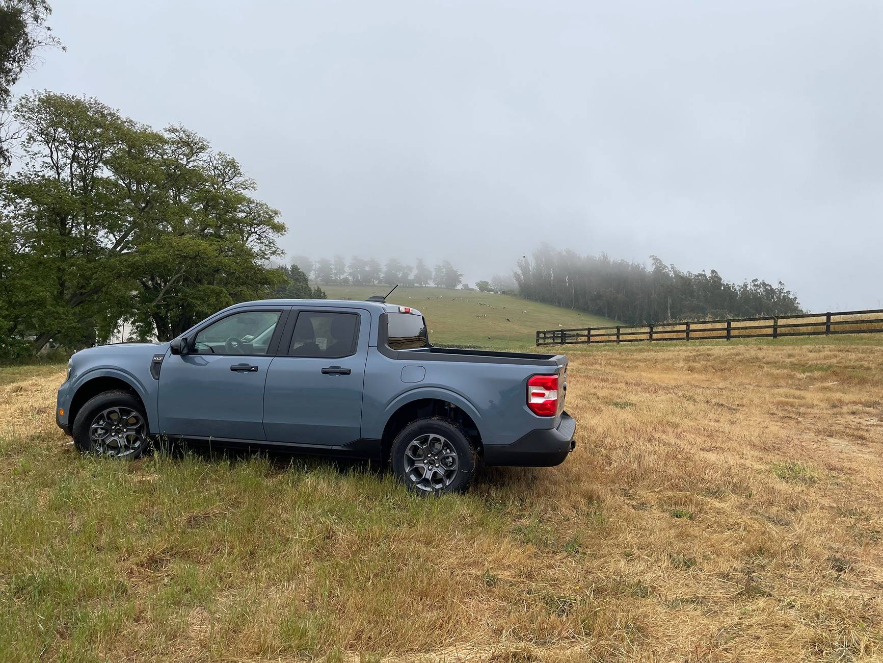 Ford Maverick New '25 XLT - Lux Hybrid IMG_0623