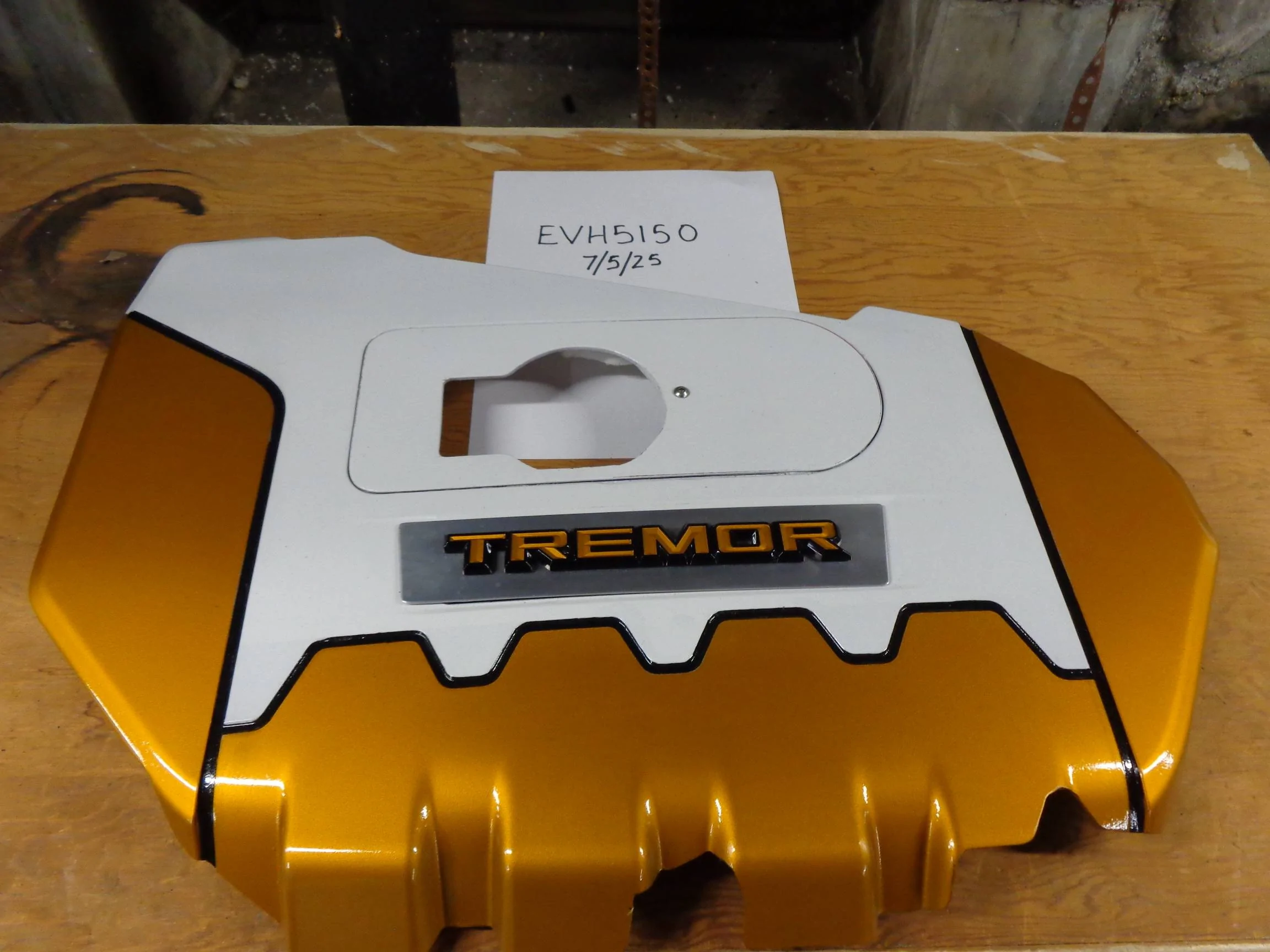 Ford Maverick REDUCED: Custom Engine Cover for EcoBoost DSC00738