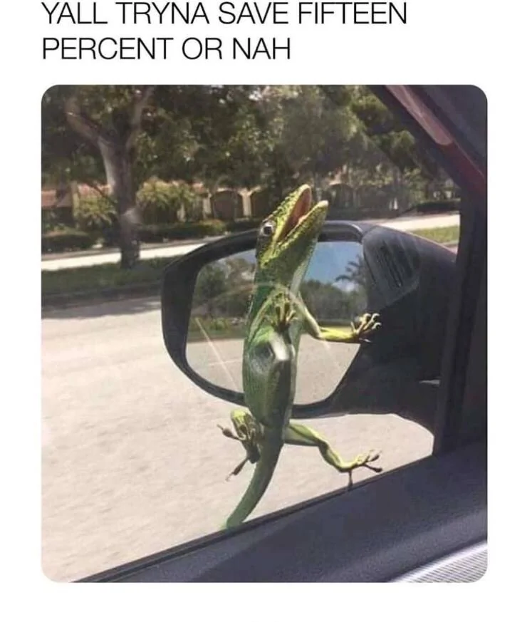 Ford Maverick Maverick Memes -  fun diversion while we wait [ ** NO POLITICS ** ] caption-that-reads-yall-tryna-save-15-or-nah-above-a-pic-of-a-gecko-stuck-to-a-moving-cars-wi