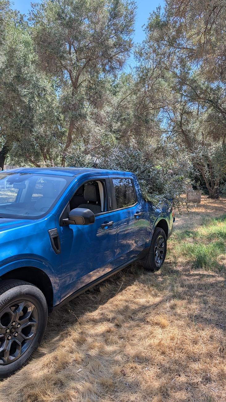 Ford Maverick Random Maverick Photos of the Day Thread! 📸 PXL_20250709_182410102
