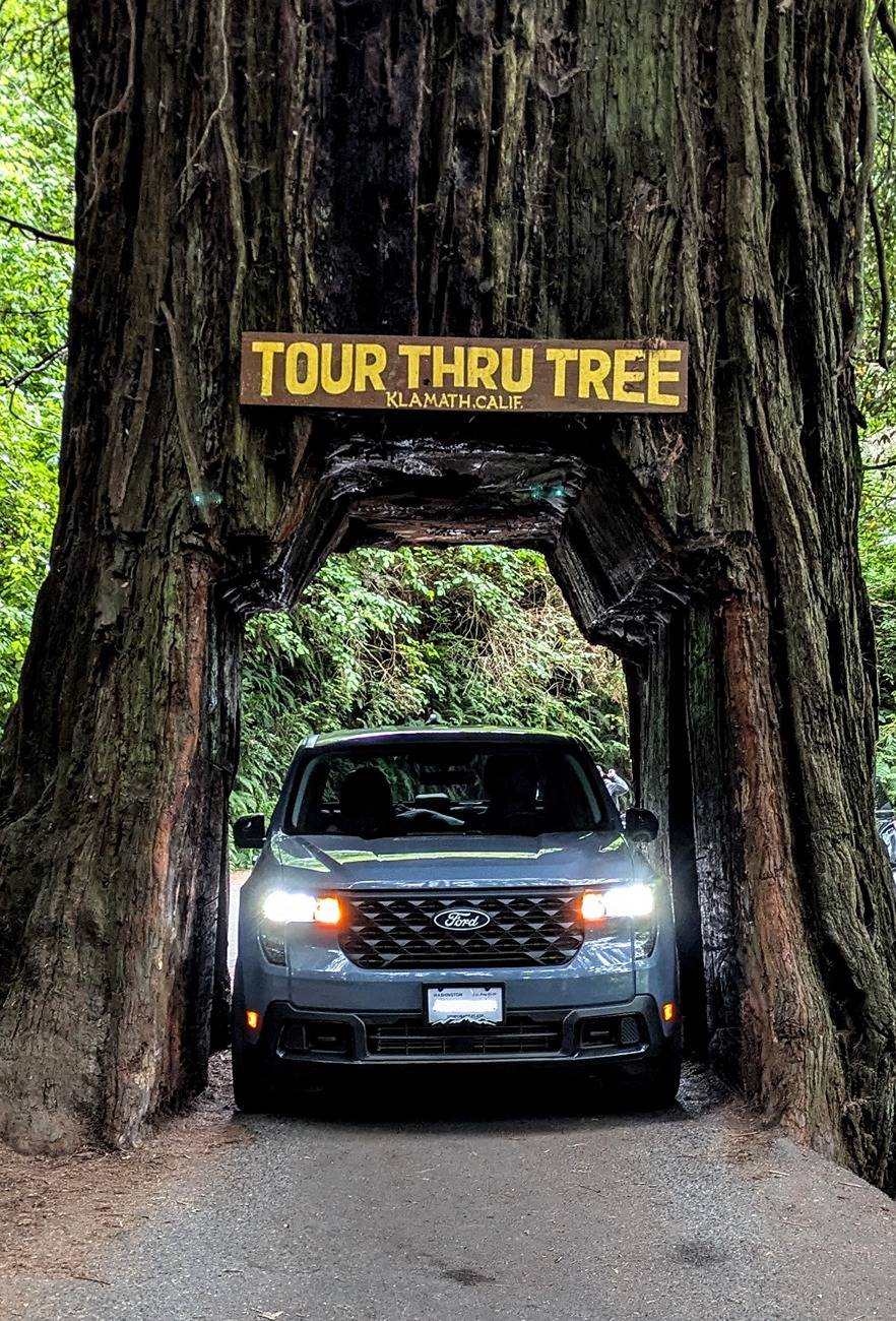 Ford Maverick Trip to the Redwoods! (1,500 miles total) 1000007100
