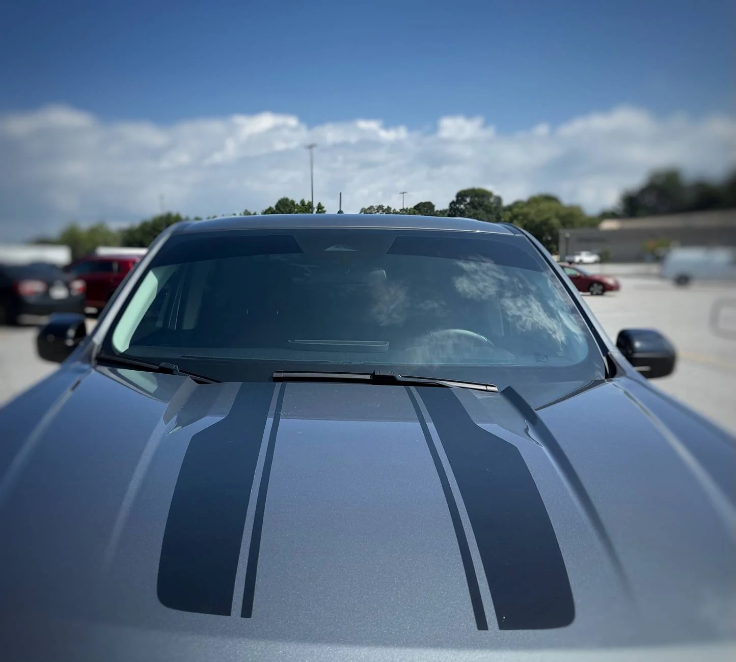 Ford Maverick Show me your Tints IMG_0588