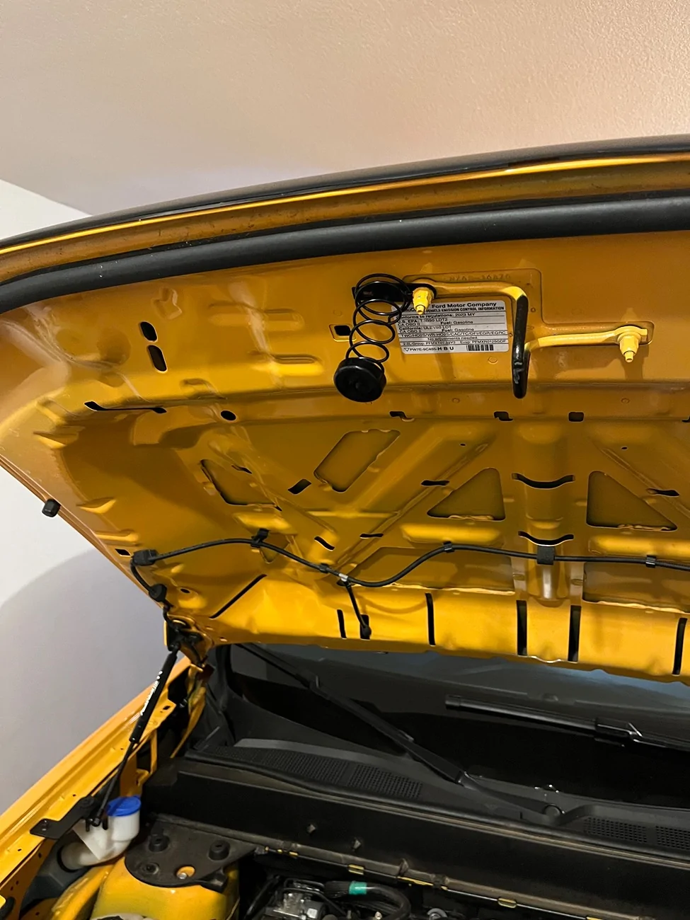 Ford Maverick Best hood struts - recommendations? IMG_0388