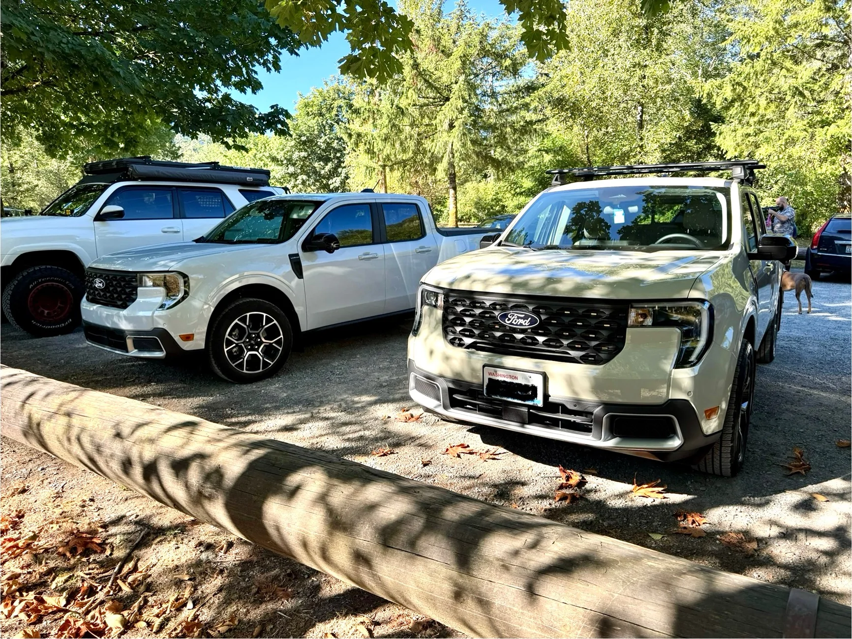 Ford Maverick Space White Metallic vs Desert Sand IMG_8813