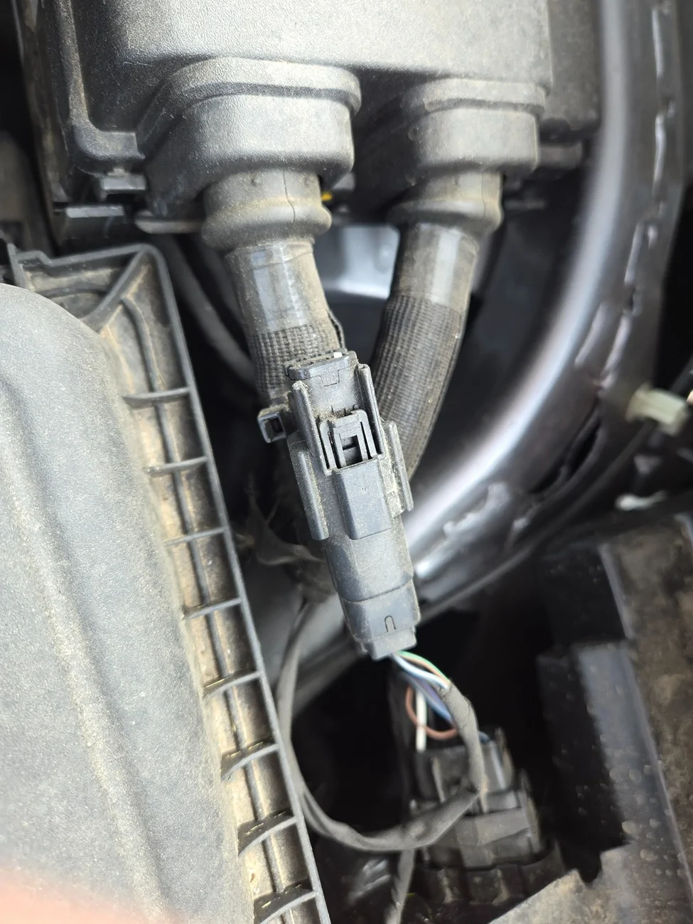 Ford Maverick What is this plug for? 20250816_105116