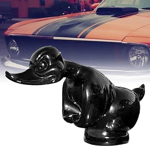 Ford Maverick Got dissed at the Depot! 41rM+yxC-JL._AC_
