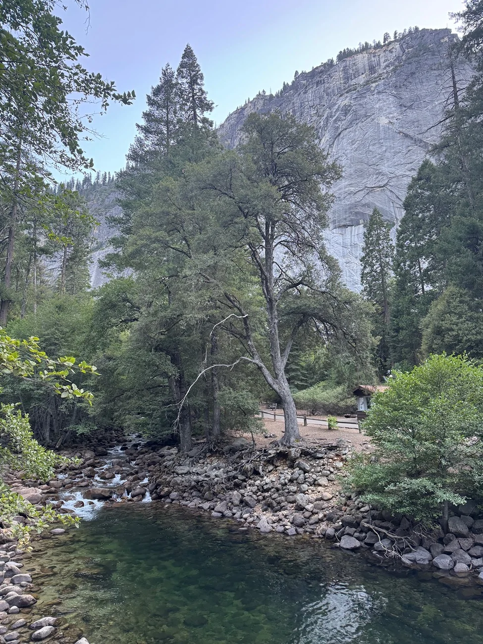 IMG_3738.jpeg