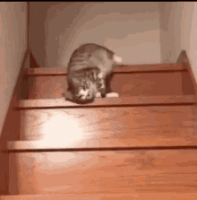 Ford Maverick Song game thread lazy-cat