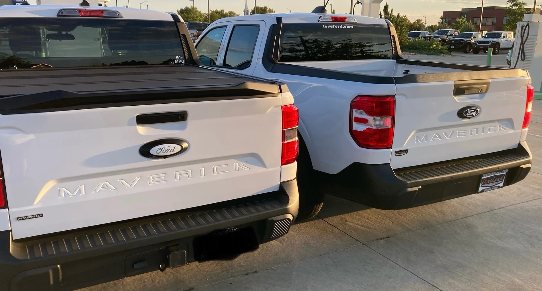 Ford Maverick Tailgate letter changes on Oxford White IMG_3396