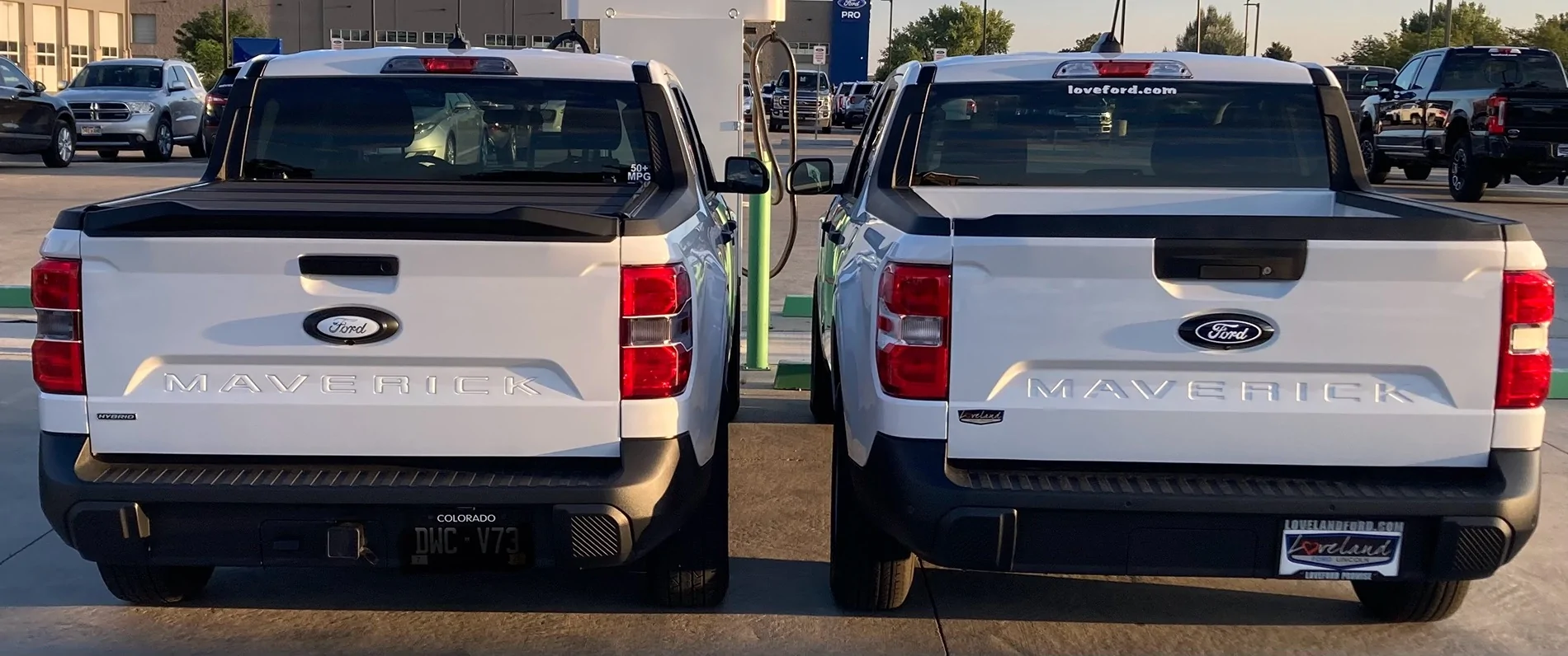 Ford Maverick Tailgate letter changes on Oxford White IMG_3397