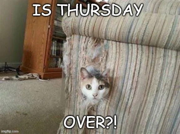 Ford Maverick Maverick Memes -  fun diversion while we wait [ ** NO POLITICS ** ] Meme 32