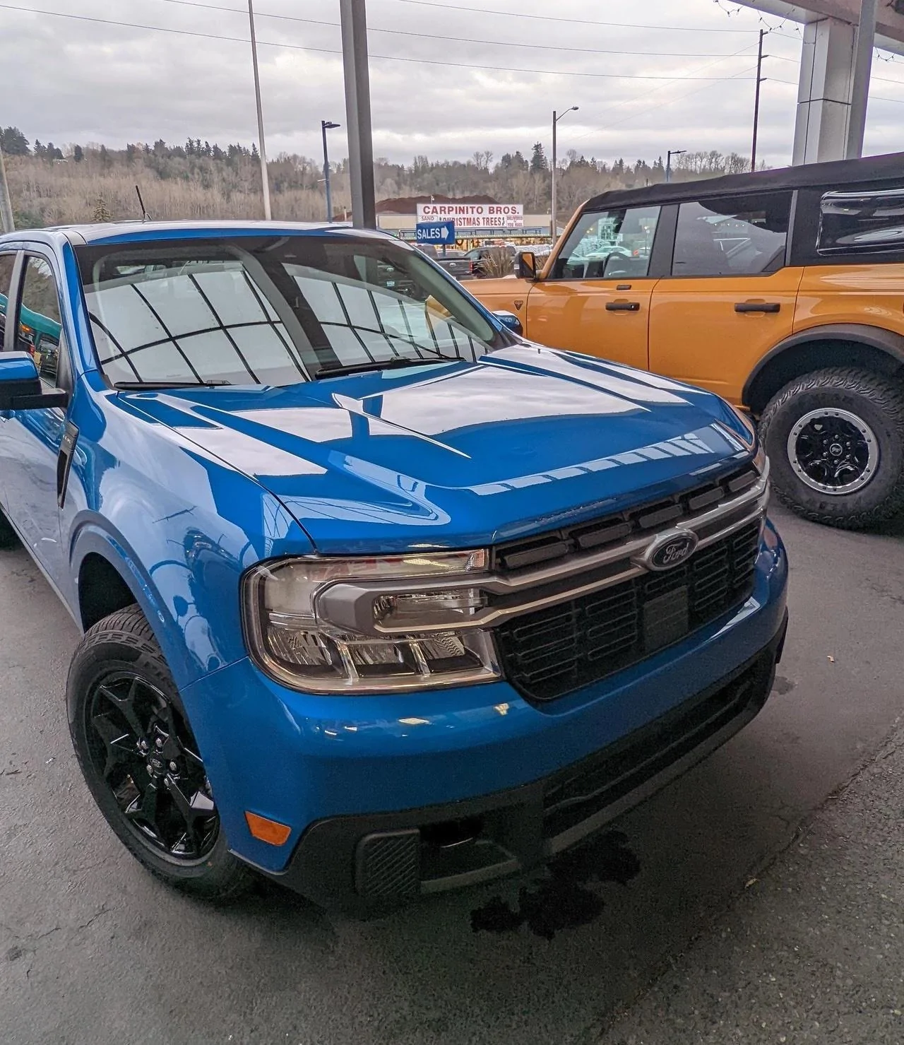 Ford Maverick VELOCITY BLUE Maverick Photos Thread 5cRj8ow_d copy