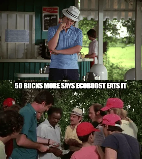 Ford Maverick Maverick Memes -  fun diversion while we wait [ ** NO POLITICS ** ] download (49)