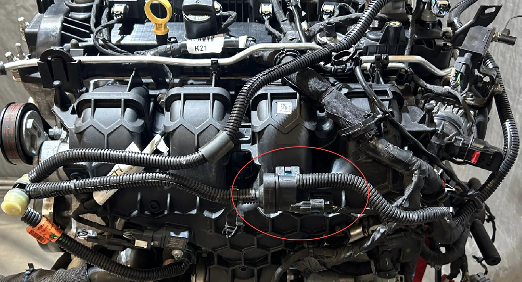 P0446 Emissions Code | MaverickTruckClub - 2022+ Ford Maverick Pickup ...
