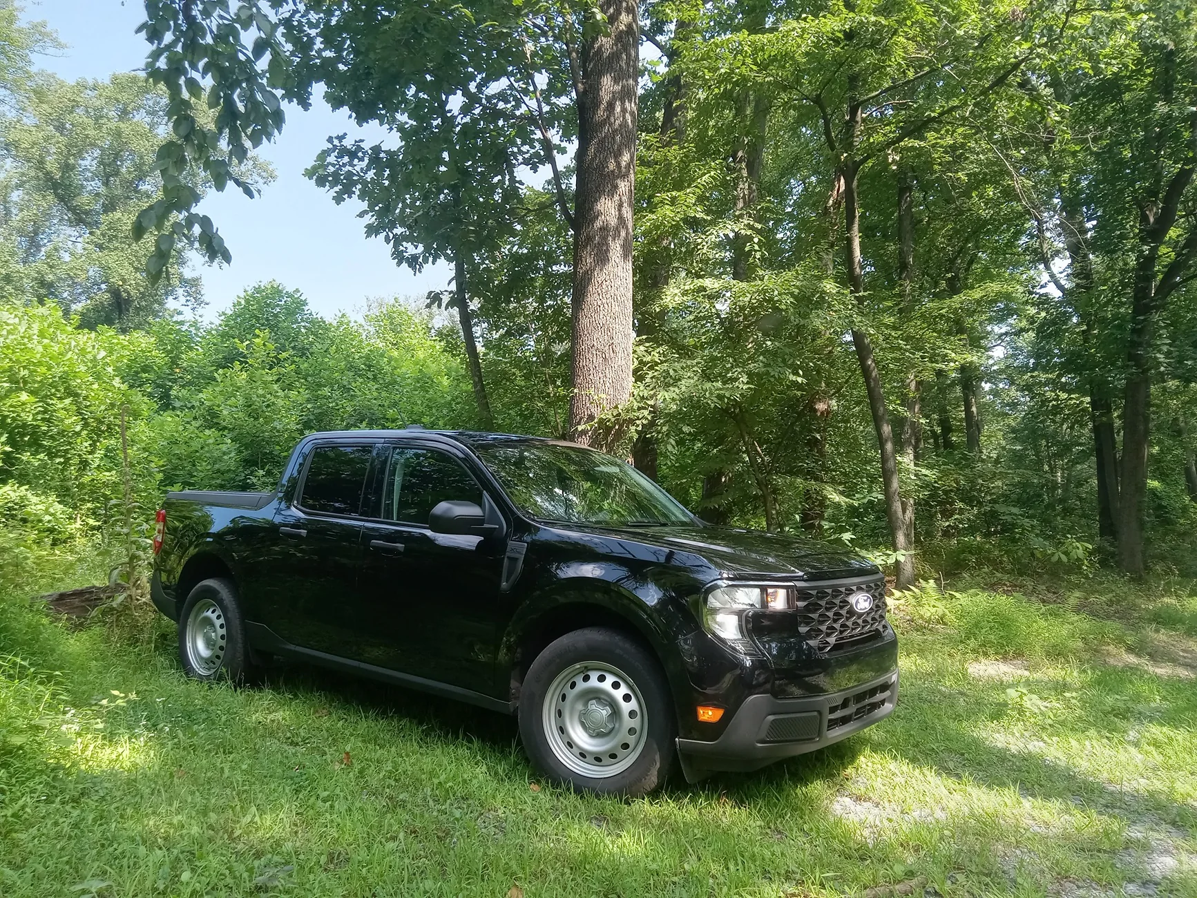 Ford Maverick Utilitarian... Working for the Susquehanna River 20250730_103634