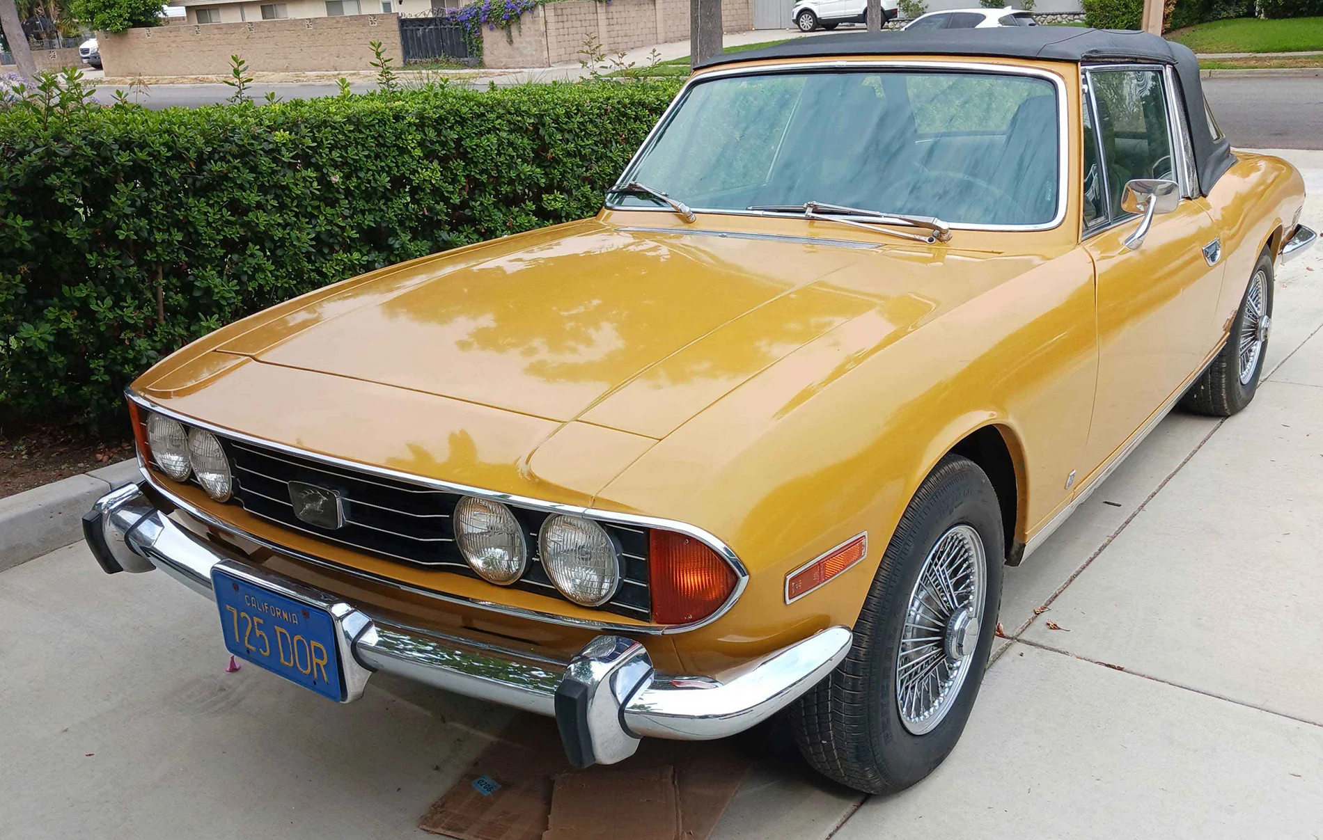 Ford Maverick Post Your Other Rides / Vehicles 20240712_101425