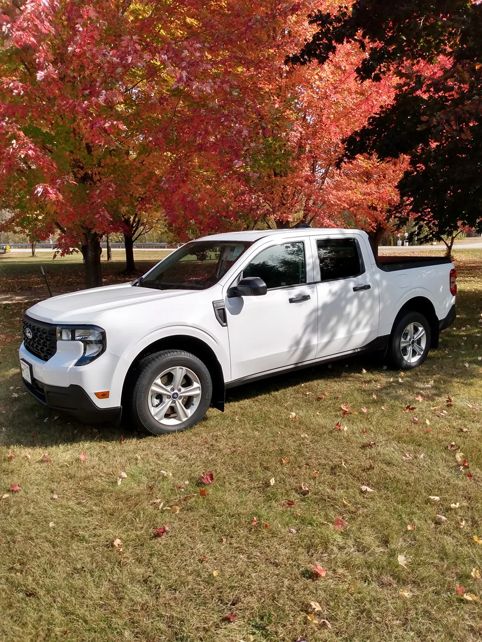 Ford Maverick OXFORD WHITE Maverick Photos Thread 1760910403033-q8